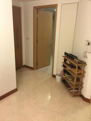 One Oxley Rise (D9), Apartment #102891202